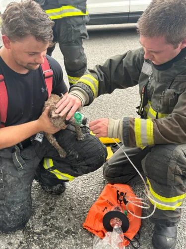 Two fires break out in area